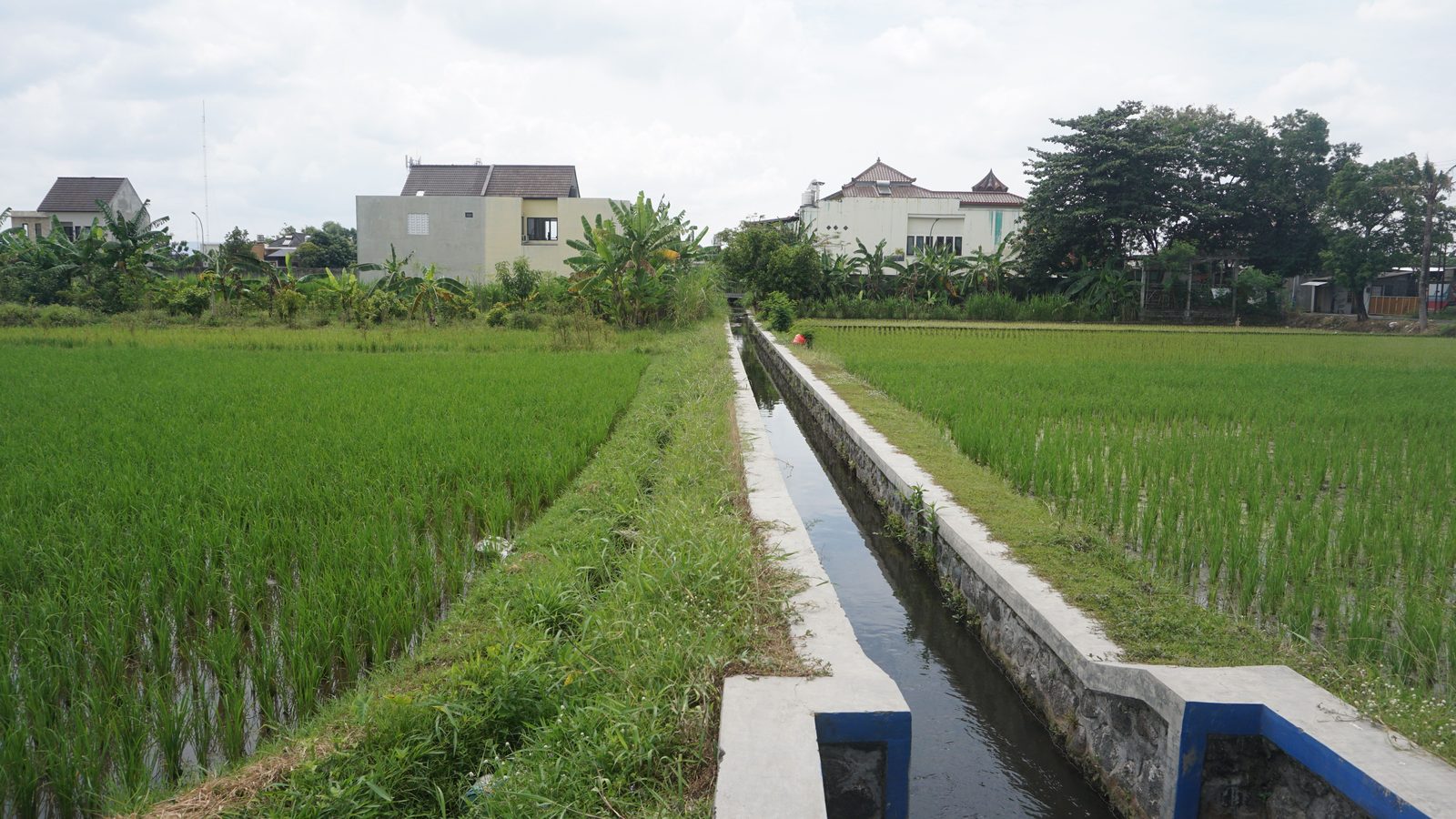 Proyecto de agua y riego